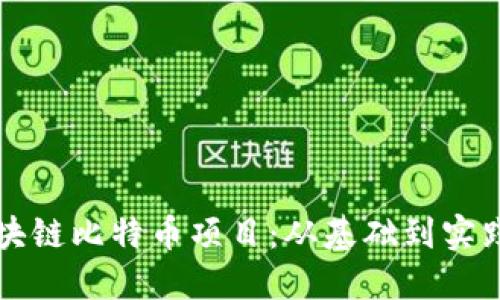 如何开发区块链比特币项目：从基础到实践的全面指南