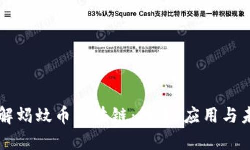 深入了解蚂蚊币区块链：技术、应用与未来展望