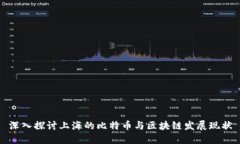 深入探讨上海的比特币与区块链发展现状