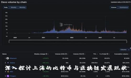 深入探讨上海的比特币与区块链发展现状