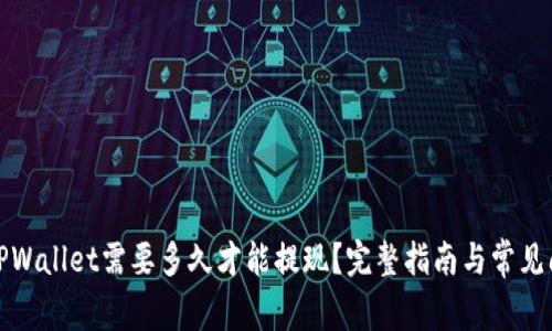 提币到TPWallet需要多久才能提现？完整指南与常见问题解答