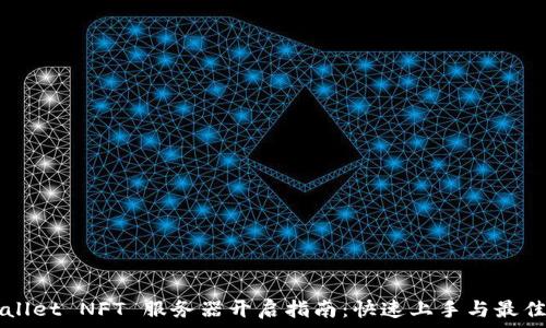   
TPWallet NFT 服务器开启指南：快速上手与最佳实践