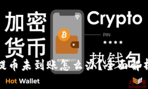 tpwallet提币未到账怎么办？全面解析解决方案