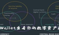 : 如何在TPWallet查看你的数字资产和币种信息？