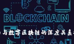 派币与数字区块链的深度关系探讨